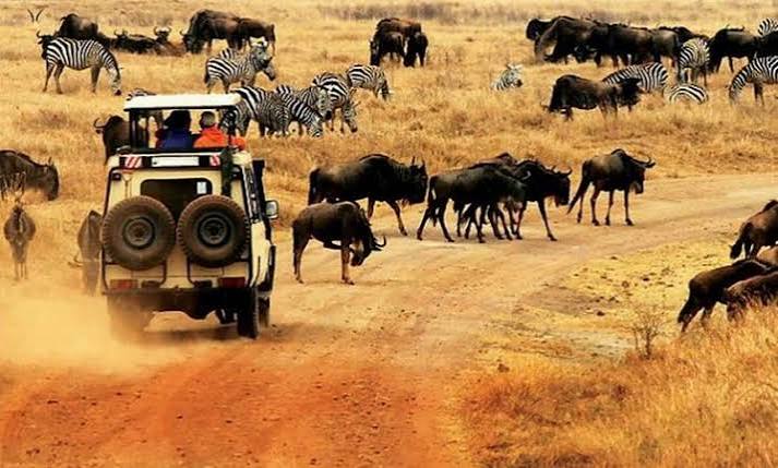 Business and leisure travel